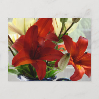 Red lilies postcard
