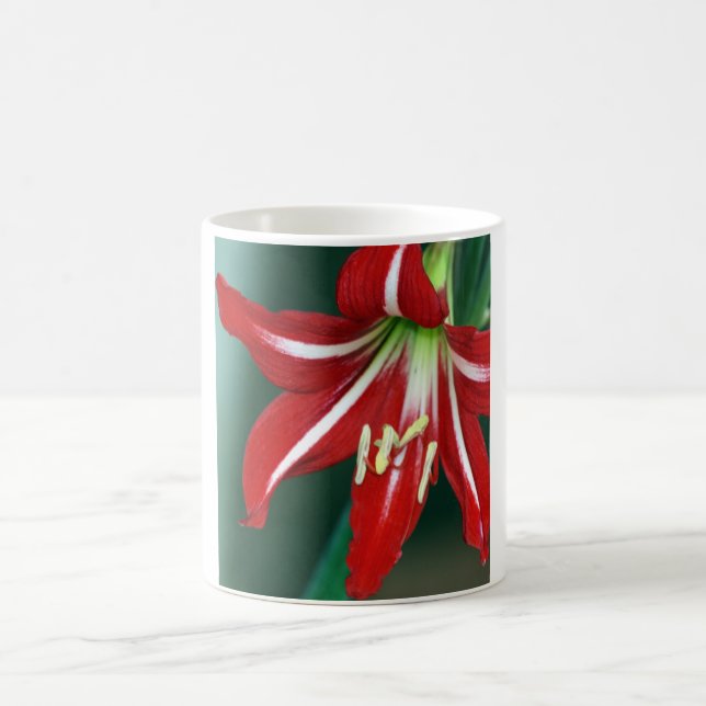 Red Lily Coffee Mug (Center)