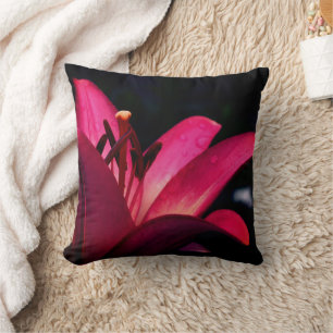 Red Lily Flower Close Up Cushion