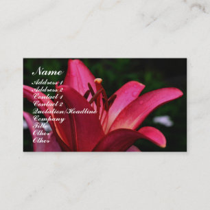 Red Lily Flower Up Close Business Card