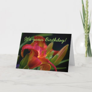 Red Lily Flowers Birthday Card