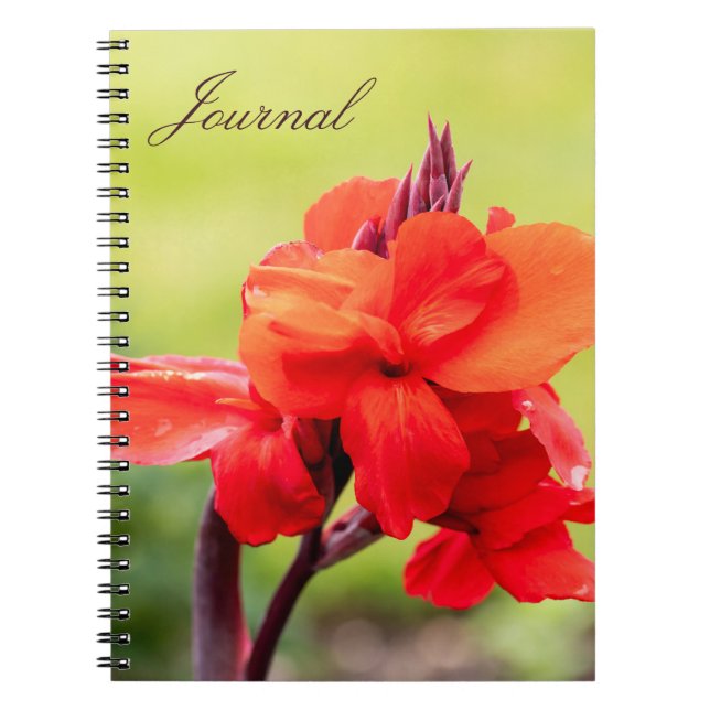 Red Lily Notebook  (Front)