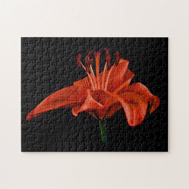 Red Lily On Black Jigsaw Puzzle (Horizontal)
