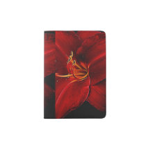 Red lily On Black