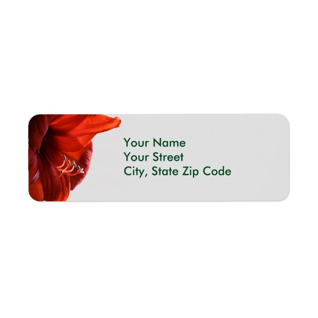 Red Lion Amaryllis Flower Christmas address labels (Front)