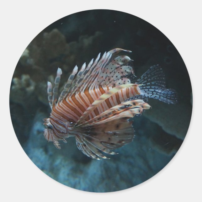 Red Lionfish Stickers (Front)