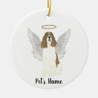 Red Liver White English Springer Spaniel Sympathy 