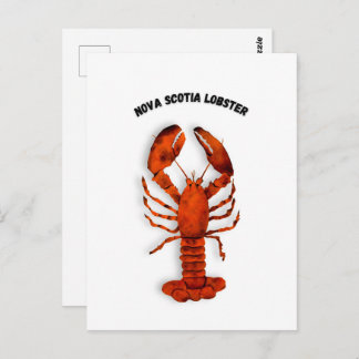 Red Lobster Postcard