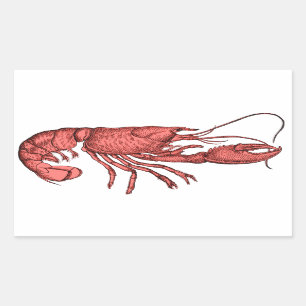 Red Lobster Stickers with Retro Vintage Image