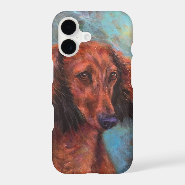 Red long haired dachshund (Back)