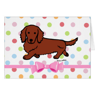 Red Long Haired Dachshund 1