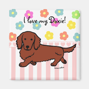 Red Long Haired Dachshund 1 Magnet