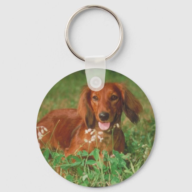 Red Long Haired Dachshund Key Ring (Front)