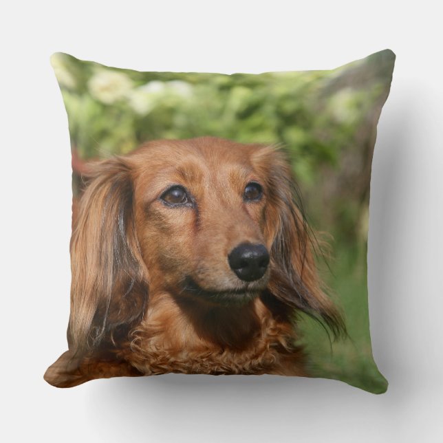 Red Long-haired Miniature Dachshund Cushion (Front)