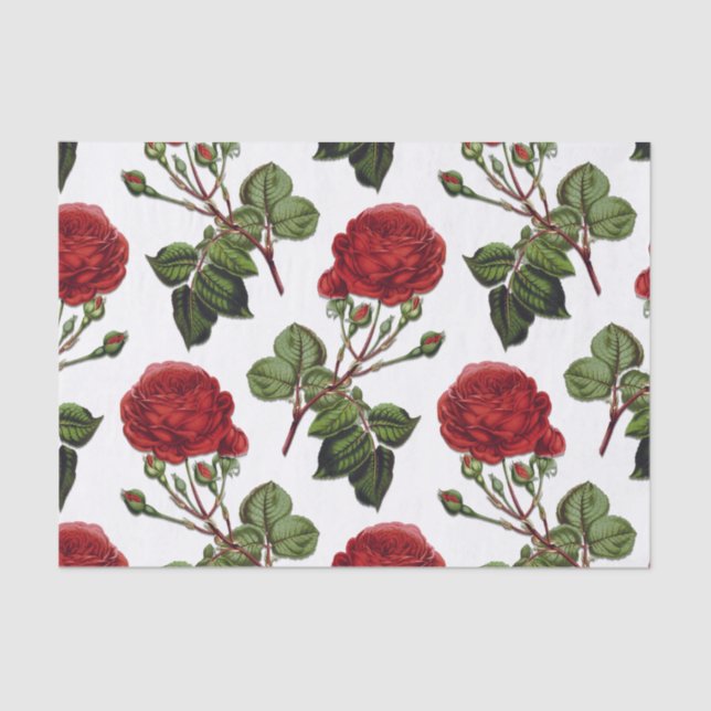 Red Long Stem Rose Pattern Tissue Paper (Front)