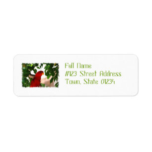 Red Lorikeet Return Address Label