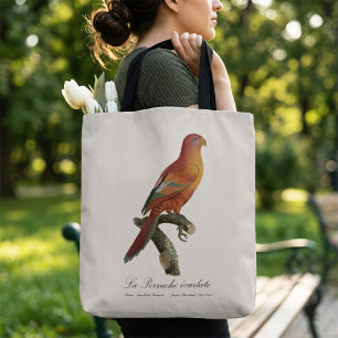 Red Lory or Eos Bornea, Trichoglossus borneus Tote Bag