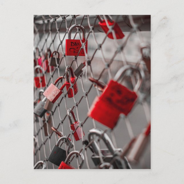 Red Love Padlocks Postcard (Front)