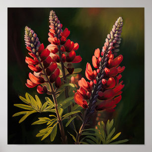 Red Lupine Flower Art Print Poster