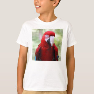 red-macaw10x10 T-Shirt