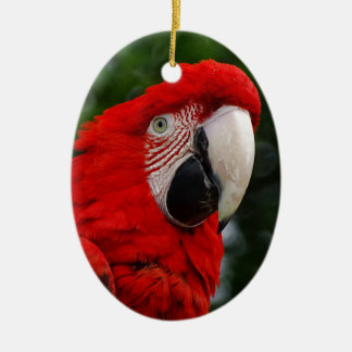 Red Macaw Ceramic Tree Decoration