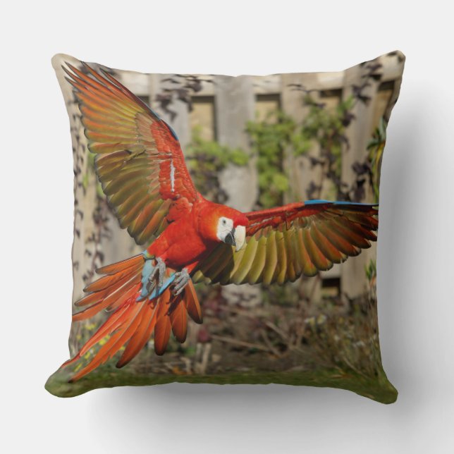 Red Macaw Flying Throw Pillow (Front)