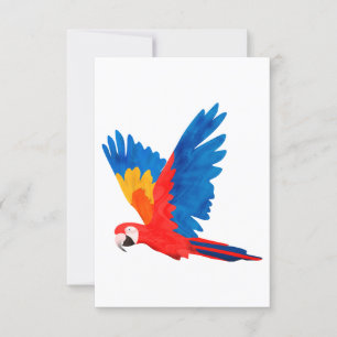 Red Macaw Invitation