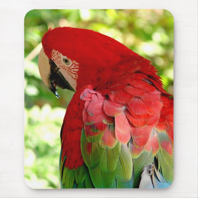 Red Macaw Mousepad 2 (Front)