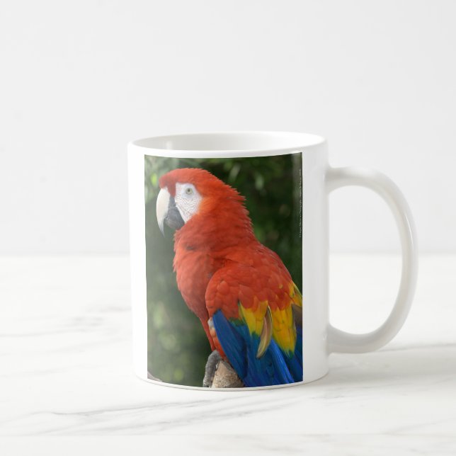 Red Macaw Mug (Right)