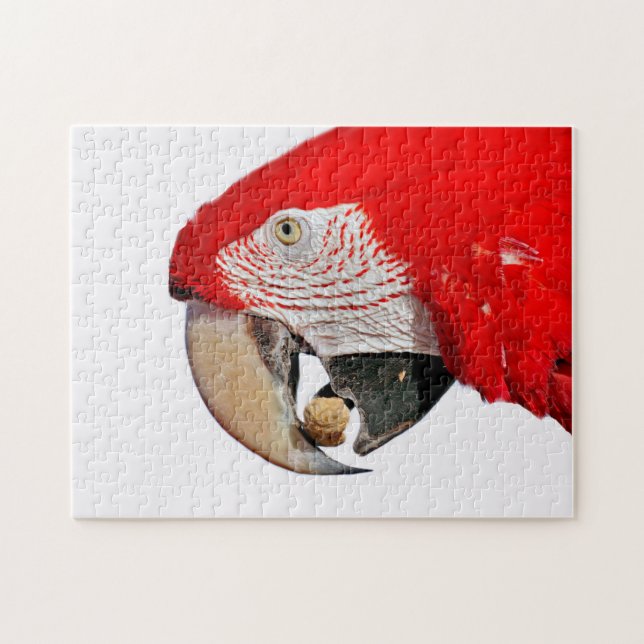 Red Macaw Parrot with Peanut Jigsaw Puzzle (Horizontal)