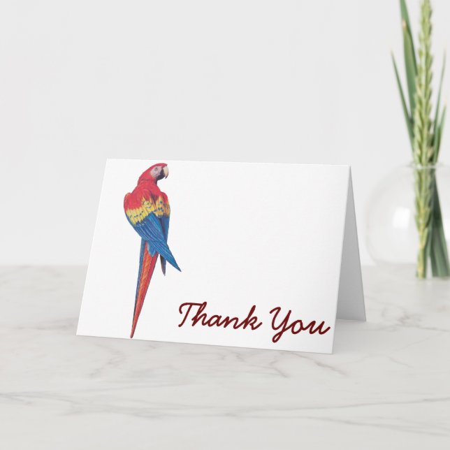 Red Macaw Thank You Card (Front)