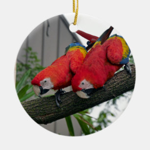 Red Macaws 2.JPG Ceramic Ornament