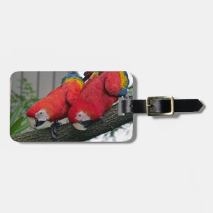 Red Macaws 2.JPG Luggage Tag