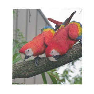 Red Macaws 2.JPG Notepad