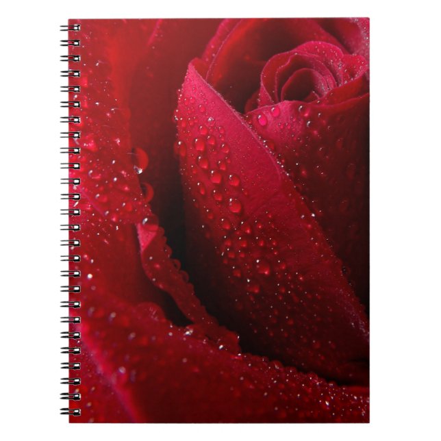 Red Macro Rose with Water Droplets Notebook (Front)