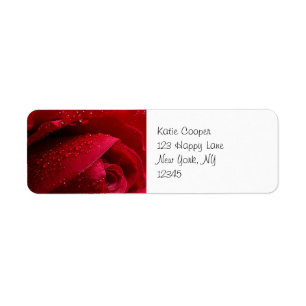 Red Macro Rose with Water Droplets Return Address Label