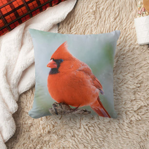 Red Male Cardinal Bird in Snow Nature Photo Cushion
