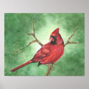 Red Male Cardinal in Tree Poster