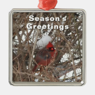 Red Male Cardinal in Winter Ornament