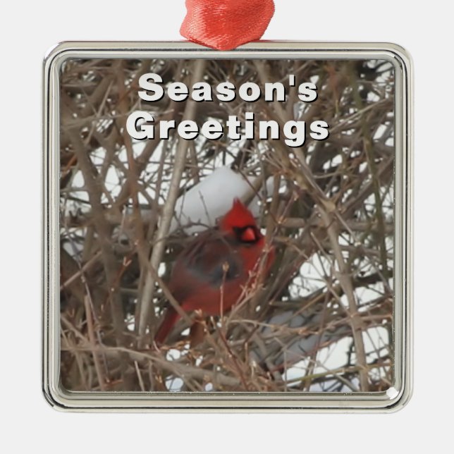 Red Male Cardinal in Winter Ornament (Front)