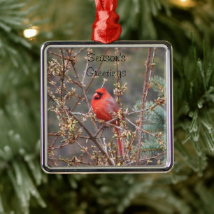 Red Male Cardinal Season's Greetings Metal Ornament