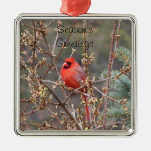 Red Male Cardinal Season's Greetings Metal Ornament
