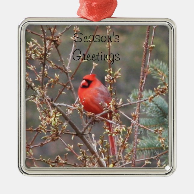 Red Male Cardinal Season's Greetings Metal Ornament (Front)