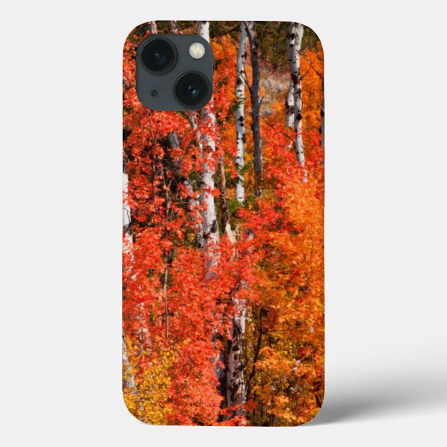Red Maple (Acer Rubra) And Aspens Case-Mate iPhone Case (Back)