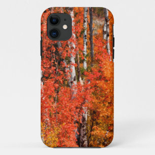 Red Maple (Acer Rubra) And Aspens iPhone 11 Case
