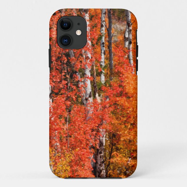 Red Maple (Acer Rubra) And Aspens Case-Mate iPhone Case (Back)