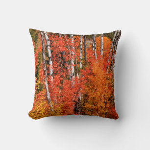 Red Maple (Acer Rubra) And Aspens Cushion