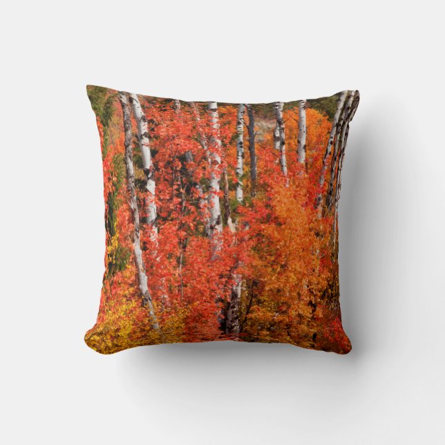 Red Maple (Acer Rubra) And Aspens Cushion (Front)