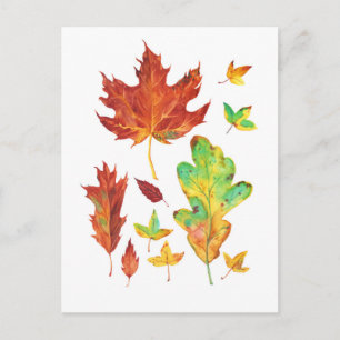 Red Maple and Golden Oak Leaves Autumn Watercolor Postcard