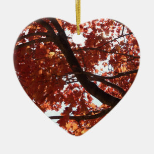 Red Maple Branches Autumn Colours Ceramic Ornament